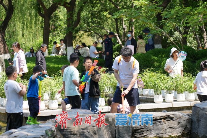 一年四季 泉在济南丨“五一”假期亲泉游升温，亲子戏水沉浸式感受泉城魅力