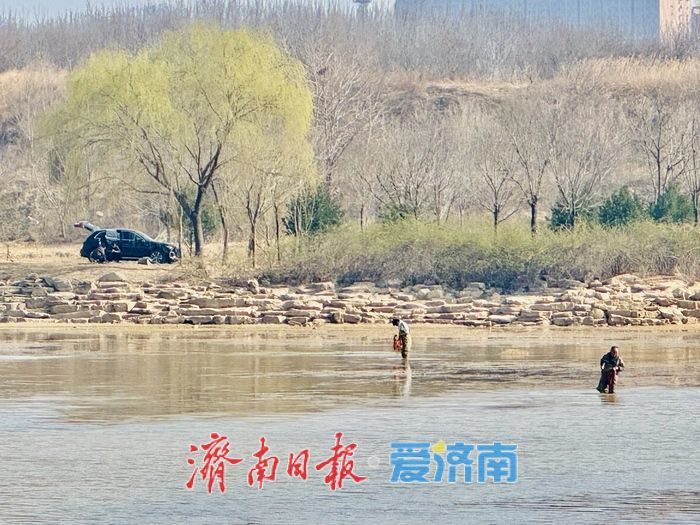 玉符河畔春意浓 杨柳依依醉游人