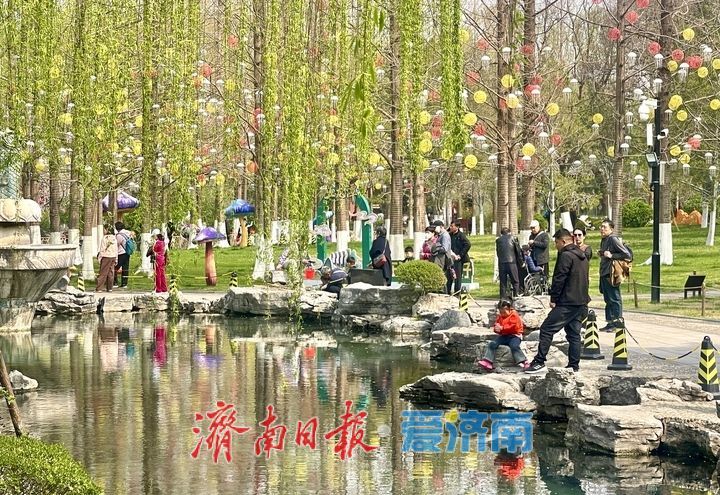 一年四季 泉在济南丨泉畔春樱盛 五龙潭变“打卡”胜地