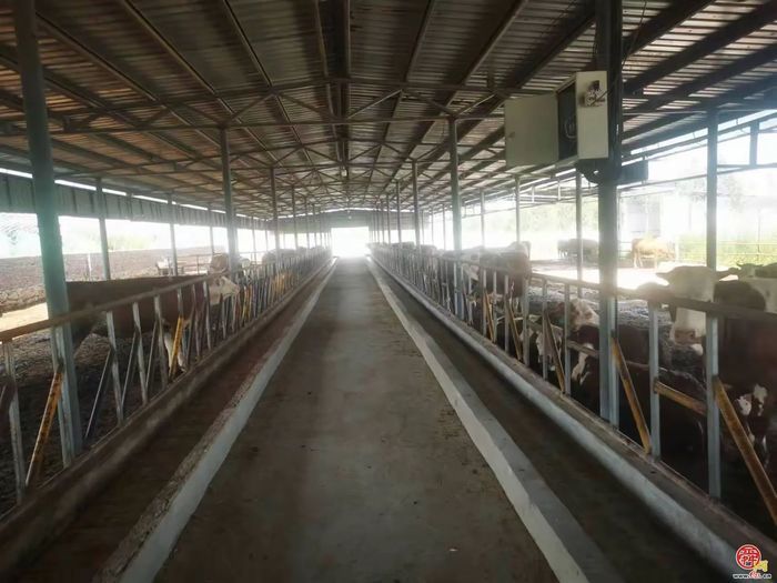 官庄街道：一名80后“兵支书”的“美丽乡愁”