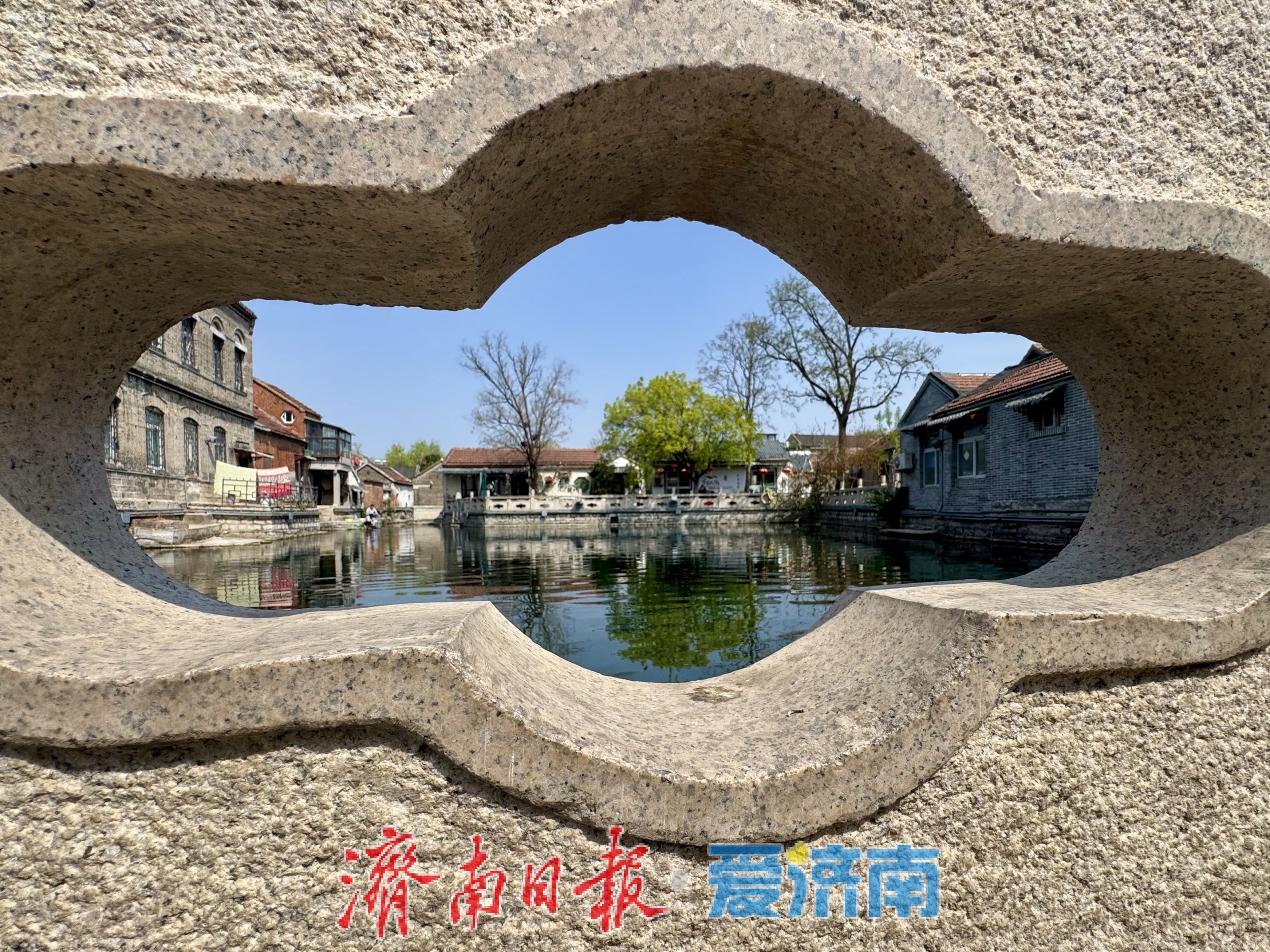 雨后泉城添诗意 王府池子春光入画来