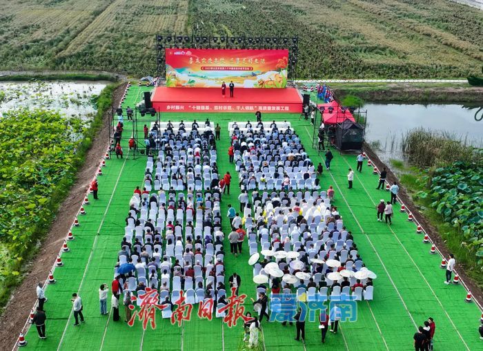 丰收的章丘，真美！