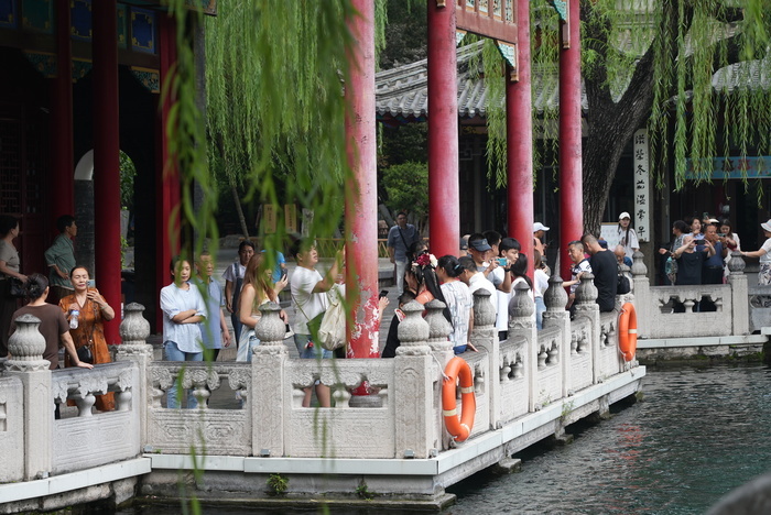 来济南趵突泉领略诗意般的“醉”美秋色