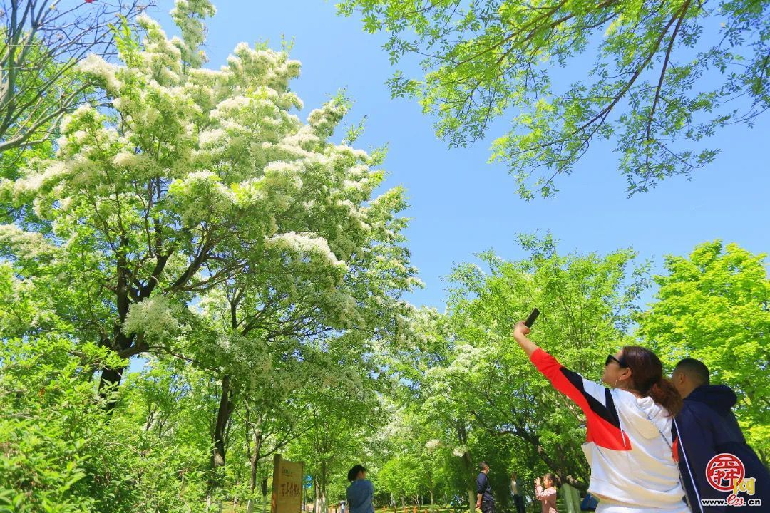 一年四季 泉在济南｜