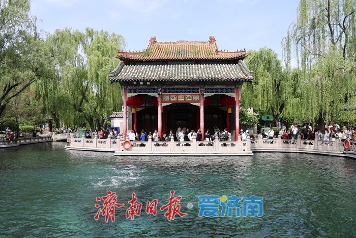 一年四季 泉在济南丨谷雨补泉涌 趵突泉地下水位三天上涨5厘米