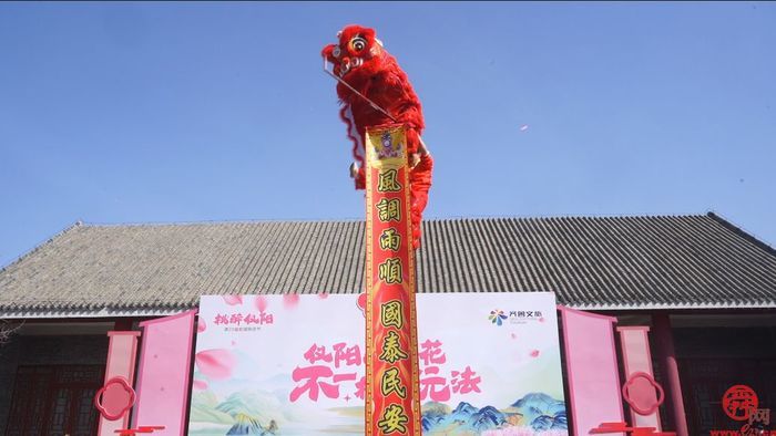 肥城市第二十三届桃花节·仪阳桃花游暨“桃之夭夭”仪阳春日花朝节启幕