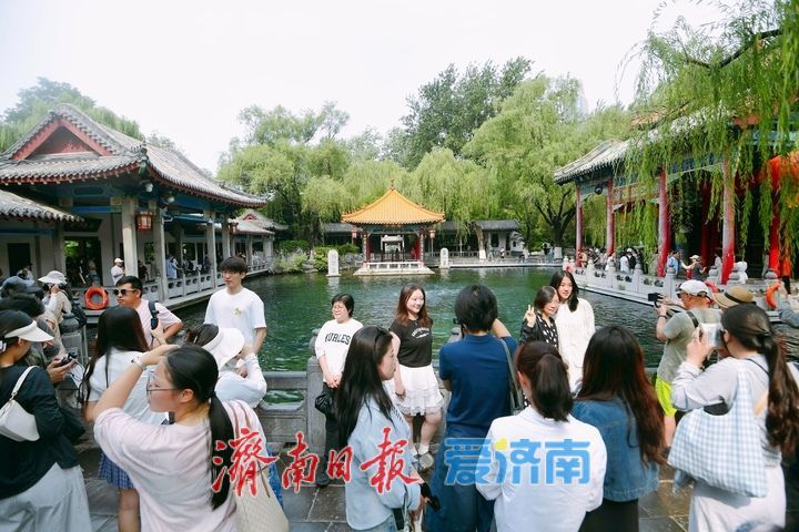 “毕业季”牵手端午假期，济南暑期“泉水游”提前迎来高峰期