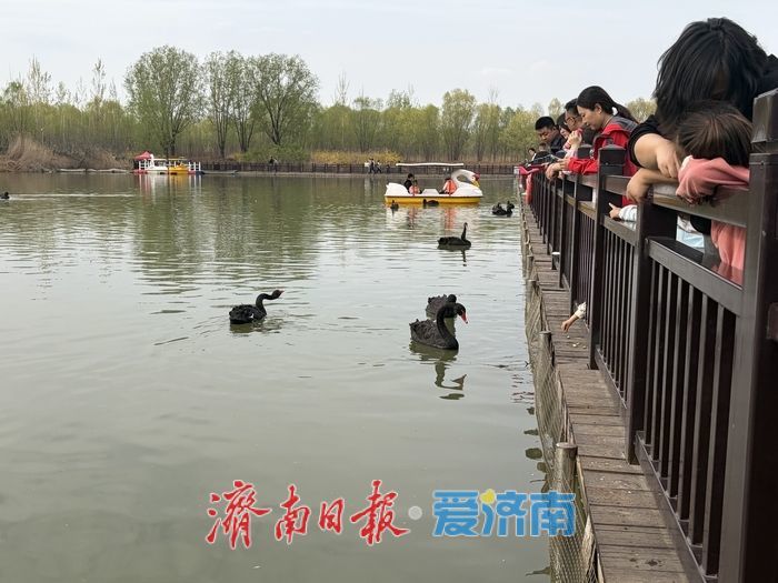 这个春天，别只“Color Walk”，来济南赴一场“Bird Walk”