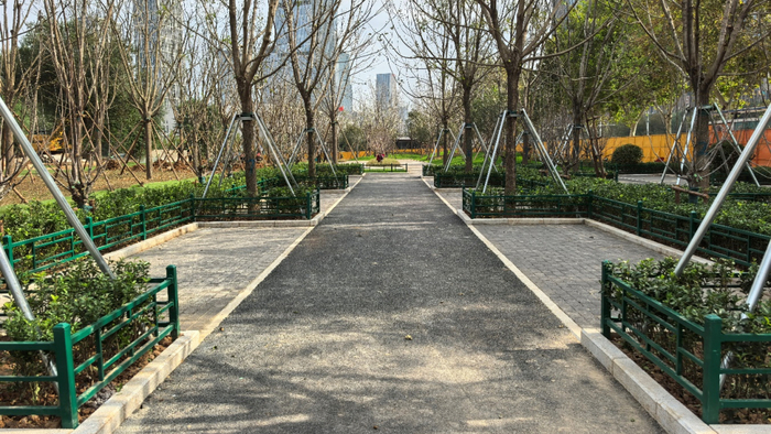 打通市民轨道出行“最后一公里”，济南已开通接驳线路218条