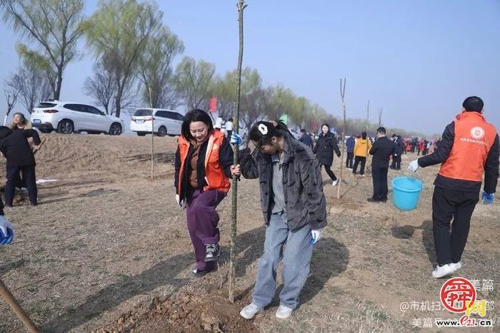 植绿护绿·共筑美好家园  济南市机械化清扫大队组织开展义务植树活动