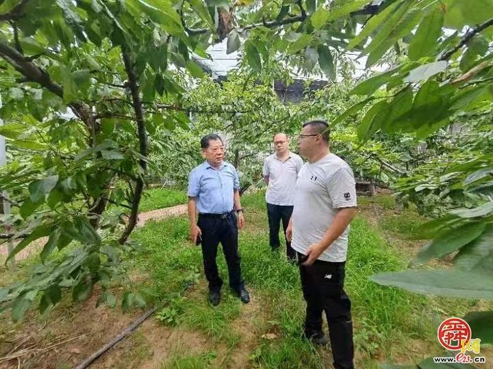 章丘区相公庄街道：乡村振兴专家服务基地助力乡村振兴