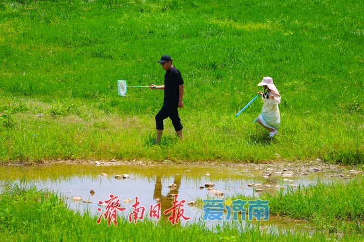 仲宫营而村端午露营热潮拉满山野氛围感