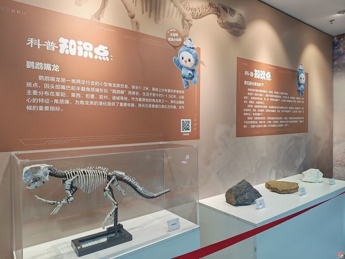 沉浸式看遍山河大海  “从山顶到海洋”科普巡展（山东站）打造科普盛宴