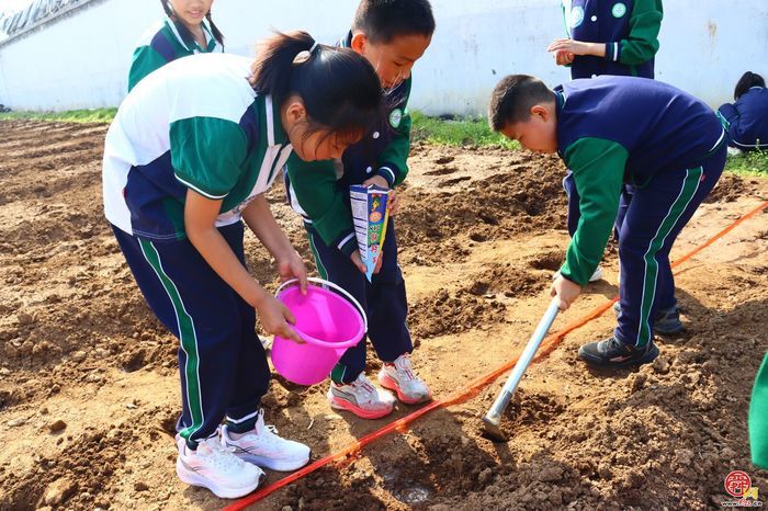 脚下踩泥土 心中藏成长——济南市天桥区枫景小学开启“‘玉’见小美好 节约大行动”主题实践课程