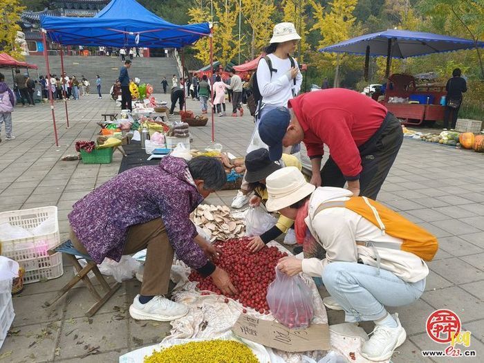 垛庄镇：秋意浓文旅热，“漫山红叶”引领赏秋新风尚