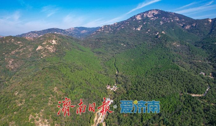 济南最大国有林场发现山东禾本科假稻属新记录种