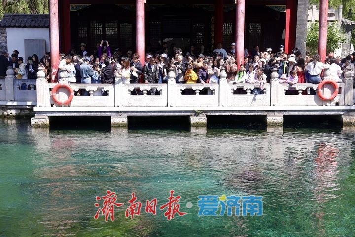 雨润泉涌引客来！趵突泉畔游人如织