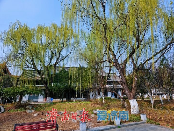 一年四季 泉在济南丨春水映花柳色新 济南园博园迎来踏青赏花好时节