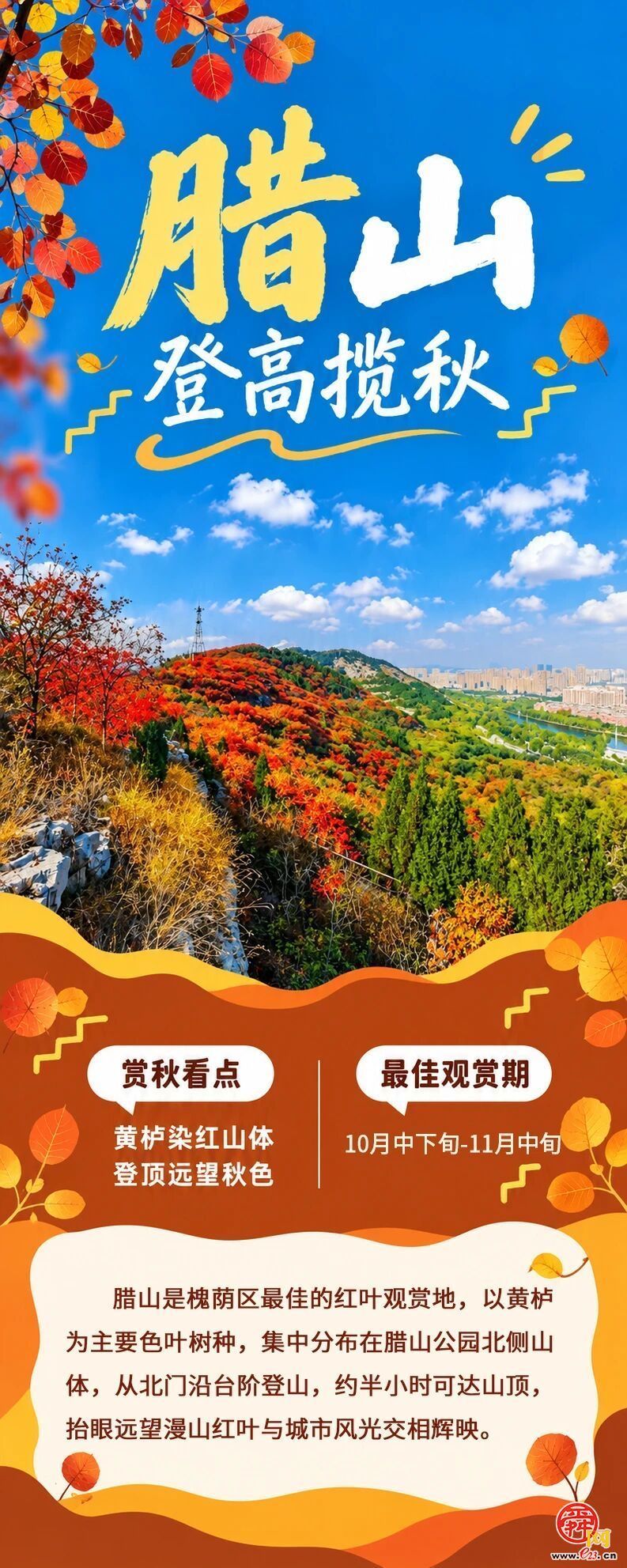 现在出发正当时！泉城红叶迎来最佳观赏期