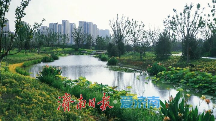 一年四季 泉在济南丨白泉湿地公园对外开放吸引众多市民关注