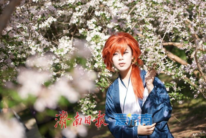 如霞似锦，济南泉城公园珍稀花木猬实进入盛花期