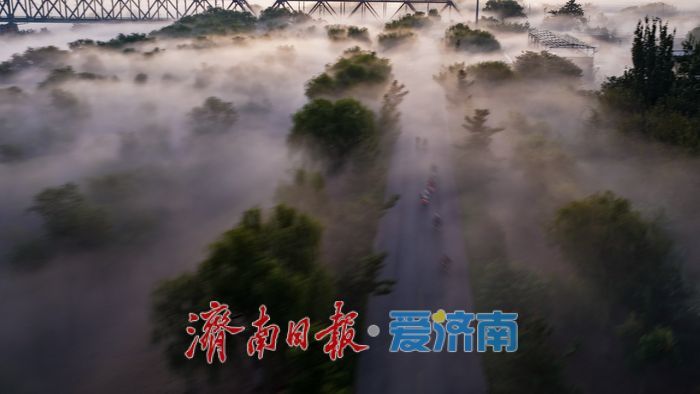 美若仙境！雾漫黄河破晓时，百年铁桥揽霞开