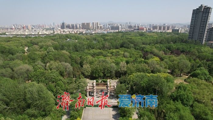 济南森林公园绿意浓，暮春时节展生机
