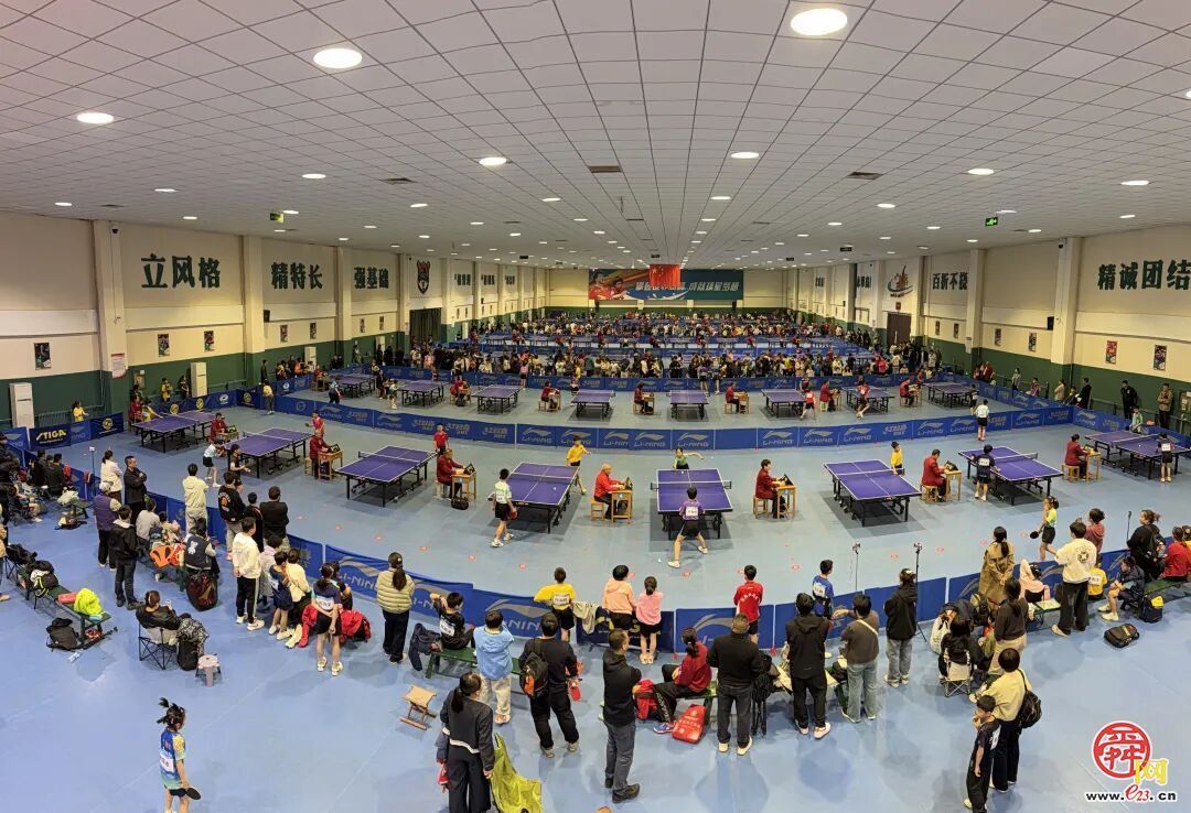 挥拍逐梦&nbsp; “泰山青训杯”2026年青少年乒乓球邀请赛盛大开赛