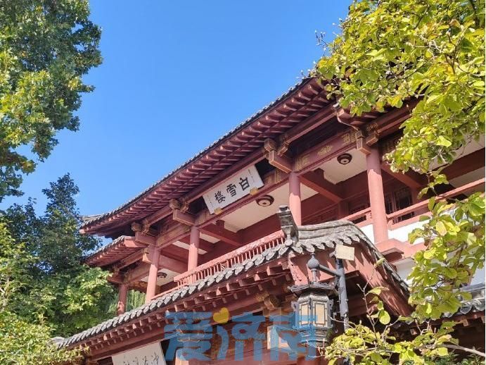 霜降至！未来三天济南气温冲入20℃大关，明日南风送暖阵风6级