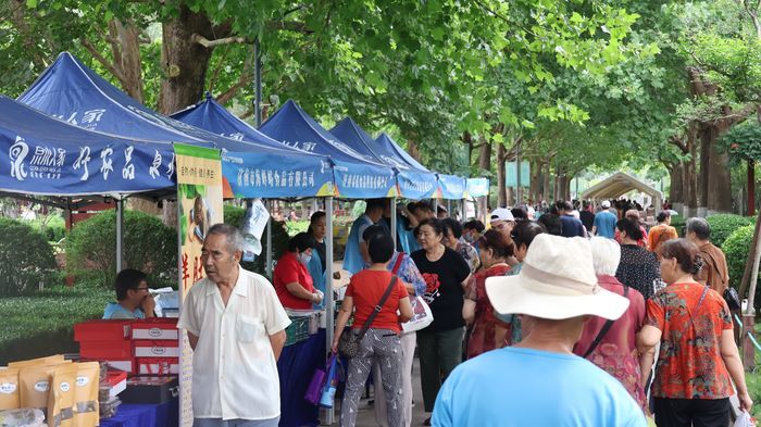 连开2日！“泉水人家”早市嘉年华  在花圃公园唤醒泉城“烟火气”