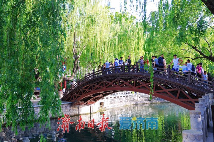 一年四季 泉在济南丨水清岸绿景如画 初夏护城河绘就生态画卷