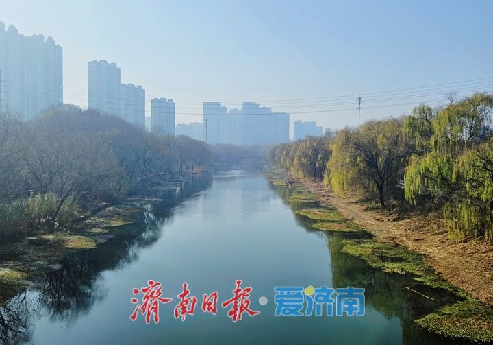 一年四季 泉在济南丨小清河冬日美景入画来