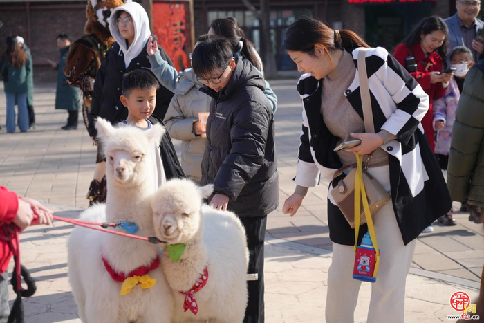 济南野生动物世界春节假期圆满收官 近20万人打卡！