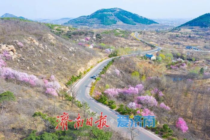 行在济南 游在路上
