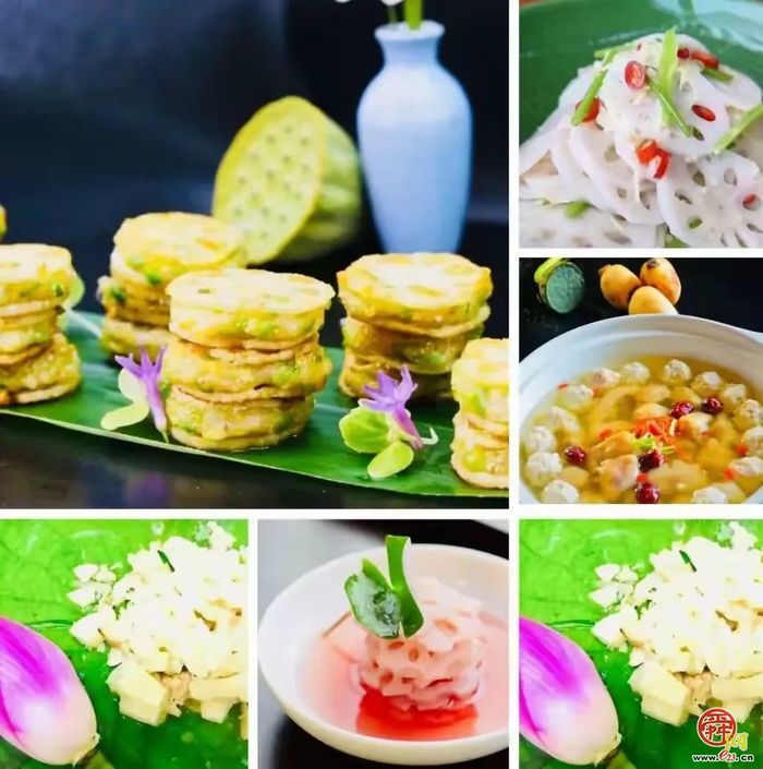 为哪吒重塑肉身，试试白云湖的藕？