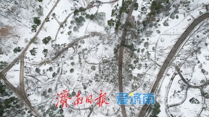 雪后泉城公园美景持续 宛如童话世界