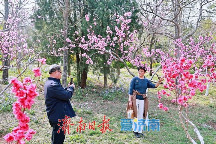 春风拂翠峦 繁花满山间 千佛山景区迎来春日赏花高峰