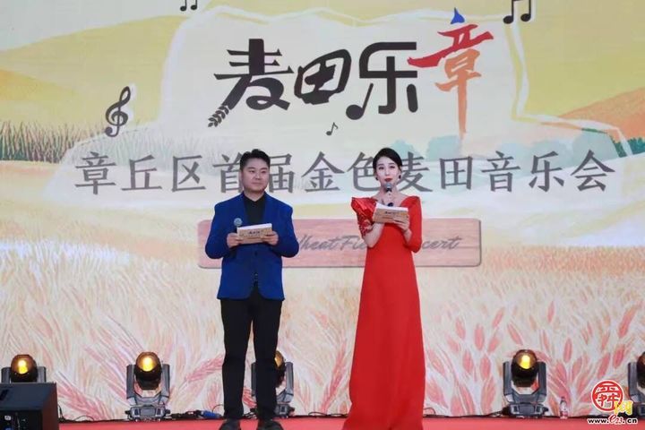 产业振兴绘就乡村振兴新画卷——宁家埠街道以产业振兴激活乡村发展新动能
