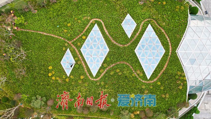 出站口披上“绿棉被”！济南“最浅车站”迎来最美春色