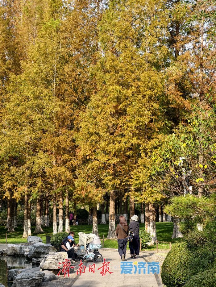 初冬时节，五龙潭公园色彩斑斓景致如画