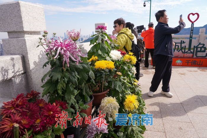 登历山极顶 览泉城新卷 千佛山城市观景平台全新亮相