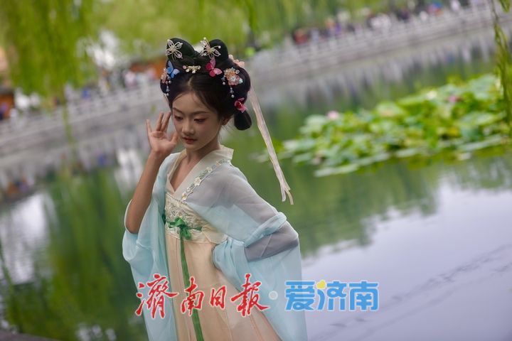 一年四季 泉在济南丨百花洲荷花迎盛花期 夏日尽显泉韵诗意