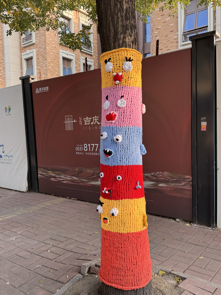 萌趣亮相!济南经四路旁的大树“穿上彩色毛衣”,市民创意打卡留住城市温暖