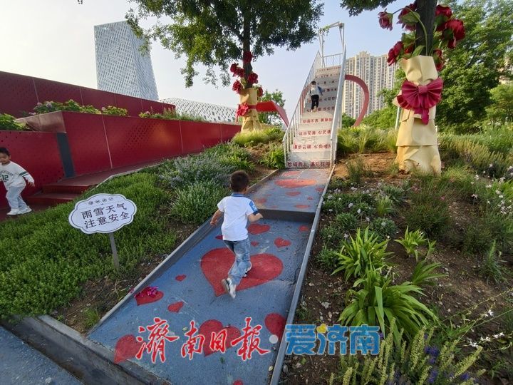 一年四季 泉在济南丨“七彩花田”盛放 宛如打翻的调色盘
