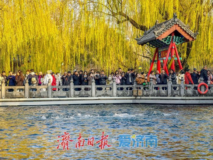 一年四季 泉在济南丨趵突泉畔冬日醉游人，今起气温再“跳水”