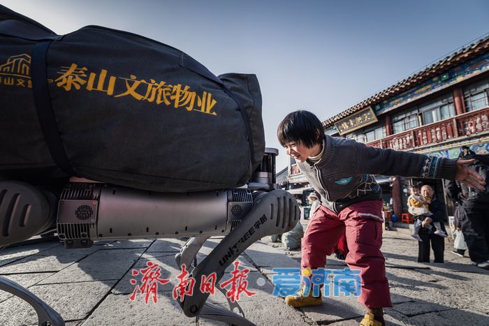 泰山之巅的对话——千年挑山工与科技机器狗并肩护生态