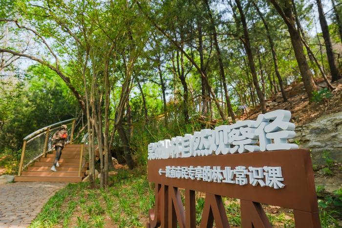 今年济南将建设30处自然教育观察径或自然教育示范基地