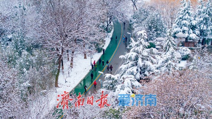 雪落泉城！济南森林公园银装素裹美景如画