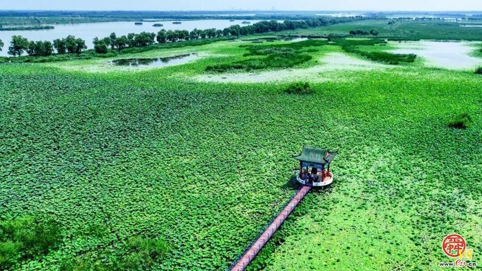 山东唯一入选国家重要湿地名单——章丘区白云湖湿地