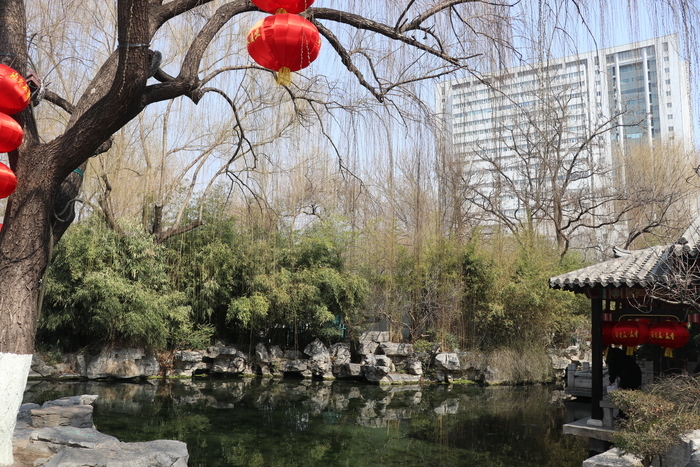 沉浸式感受济南这座城的春天